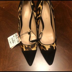 Zara Leopard print pumps